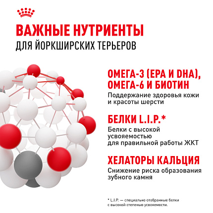 Royal Canin Yorkshire Terrier Adult Корм сухой для взрослых собак породы Йоркширский Терьер от 10 месяцев, 3 кг